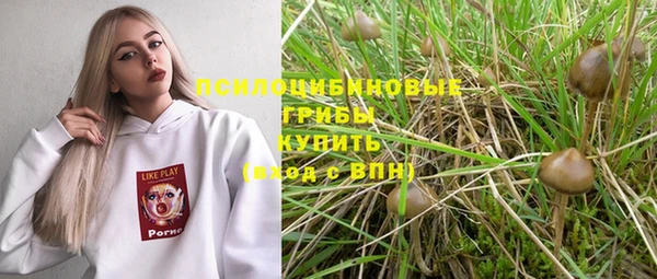 тгк Липки