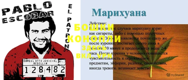 тгк Магадан
