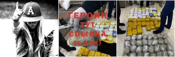 прущие грибы Магас