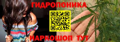 гашик Волжск