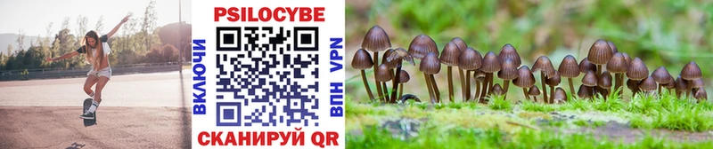 KRAKEN tor  Жуковский  Псилоцибиновые грибы Magic Shrooms 