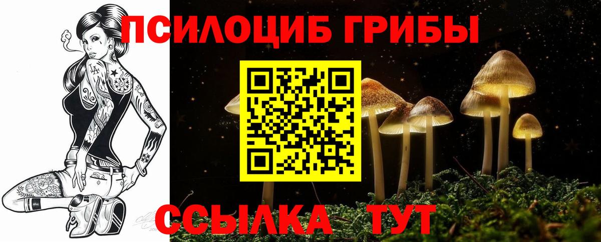 Псилоцибиновые грибы ЛСД  Вход с VPN  Галлюциногенные грибы мухоморы  Жуковский 