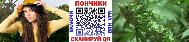 mega как войти  Жуковский  Бошки марихуана SATIVA & INDICA 